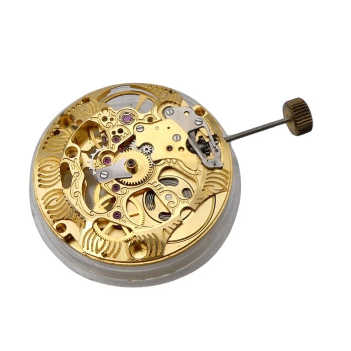 MSR T44 - Revue Mouvement squelette - Movement