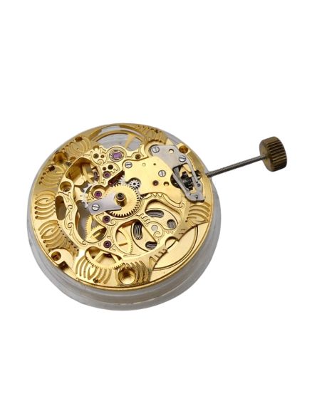 MSR T44 - Revue Mouvement squelette - Movement