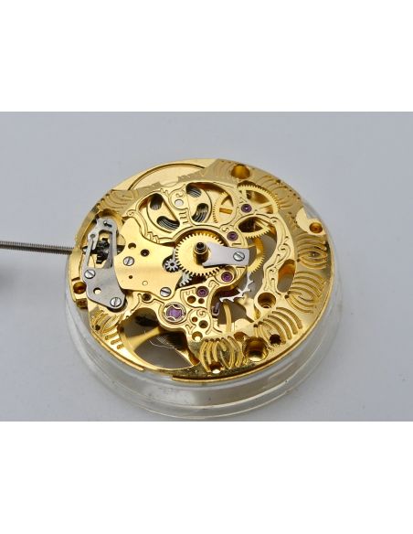MSR T44 - Revue Mouvement squelette - Movement