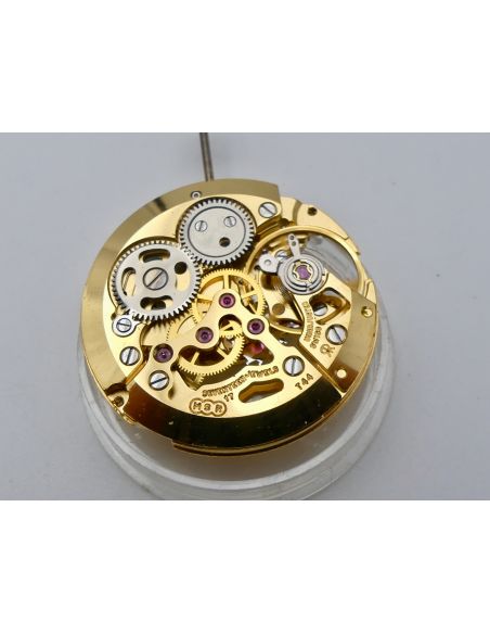 MSR T44 - Revue Mouvement squelette - Movement