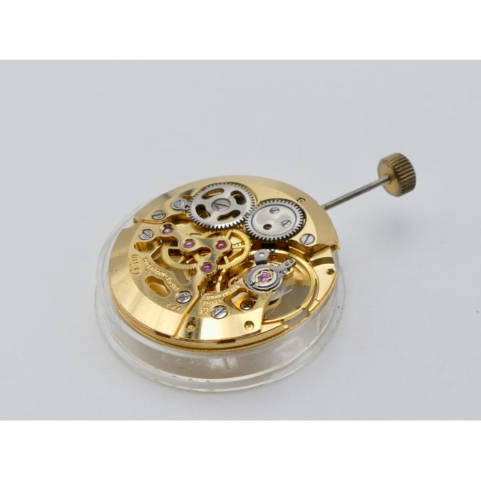 MSR T44 - Revue Mouvement squelette - Movement