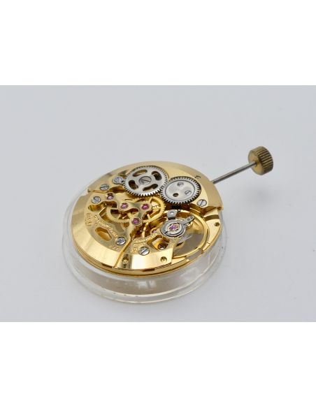 MSR T44 - Revue Mouvement squelette - Movement