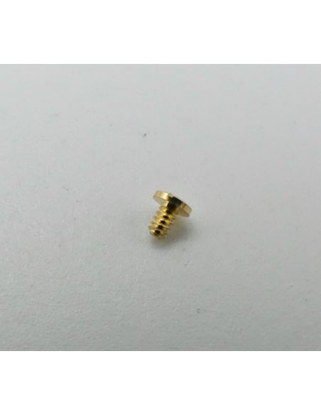 Ebel Beluga Vis de fond - Screw case back - 866960/437