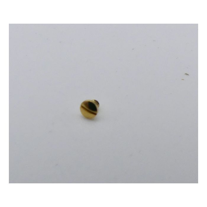 Ebel Beluga Vis de fond - Screw case back - 866960/437