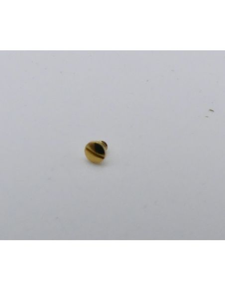 Ebel Beluga Vis de fond - Screw case back - 866960/437