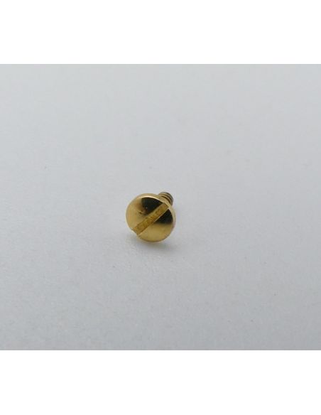 Ebel Sportwave Vis de lunette - Screw bezel - 8187631/447