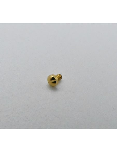 Ebel Sport classic Vis de lunette - Screw bezel - 866901/447