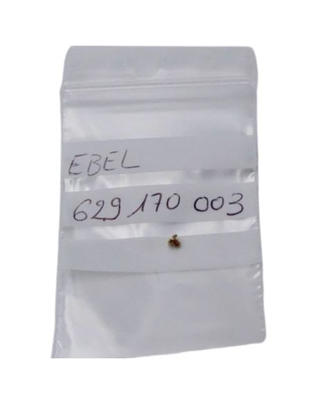 Ebel Wave Vis de bracelet - Screw for strap - 5134901/608