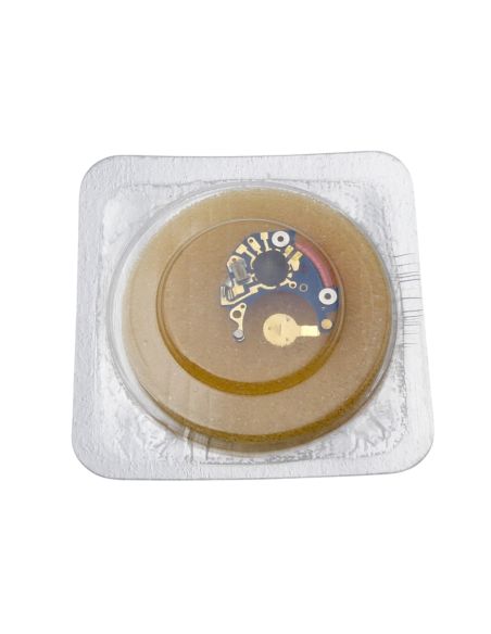 ETA 977.001 module - Electronic module