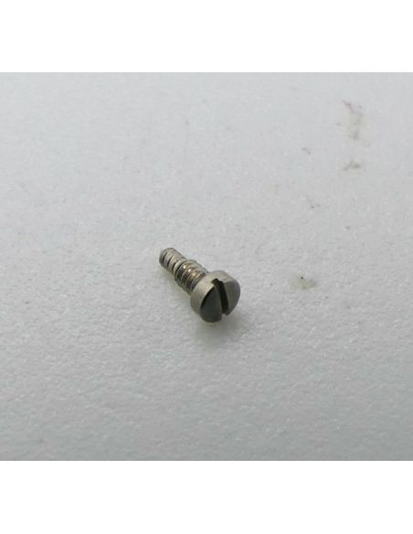 Ebel Vis pour maillon de rallonge - link screw - 983913/660.38