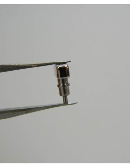 LONGINES poussoir acier