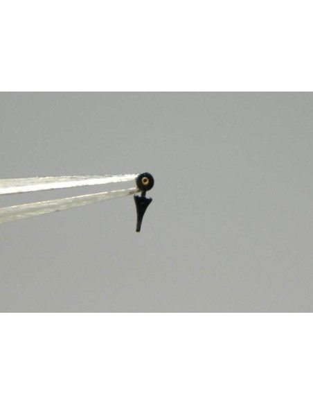 aiguille chrono Valjoux 72