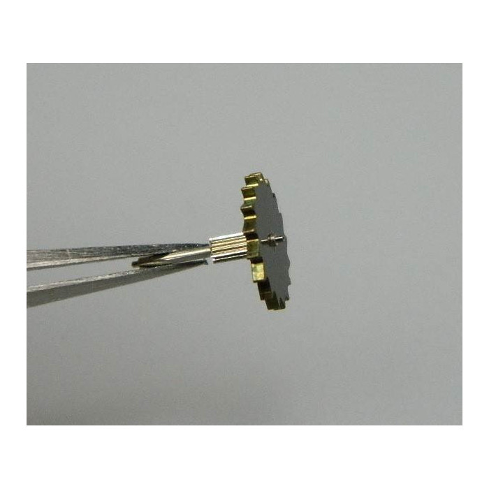 JLC Recital roue de sonnerie