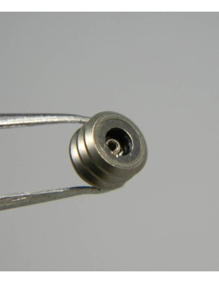 Omega couronne titane