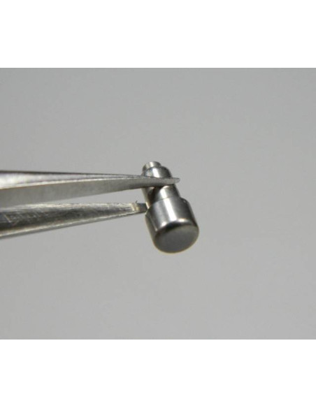 Tag Heuer SEL poussoir