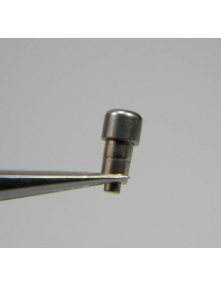 Tag Heuer SEL poussoir