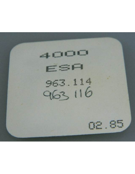 ESA 963.114 module