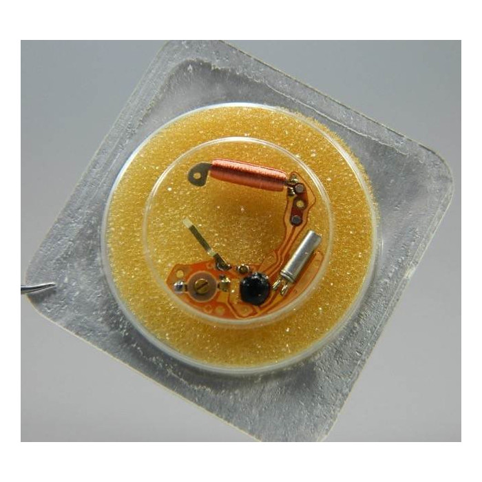 ESA 965.102 module