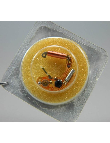 ESA 965.102 module