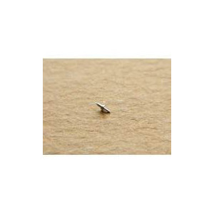 FHF 62 Axe de balancier