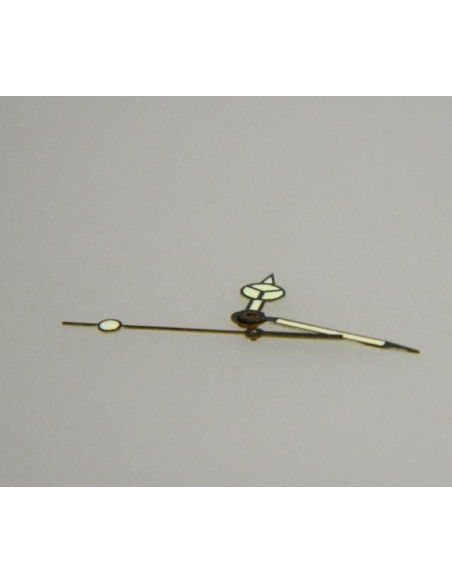 Aiguilles Zodiac professional 200m