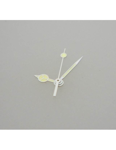 Zodiac professional 200m aiguilles