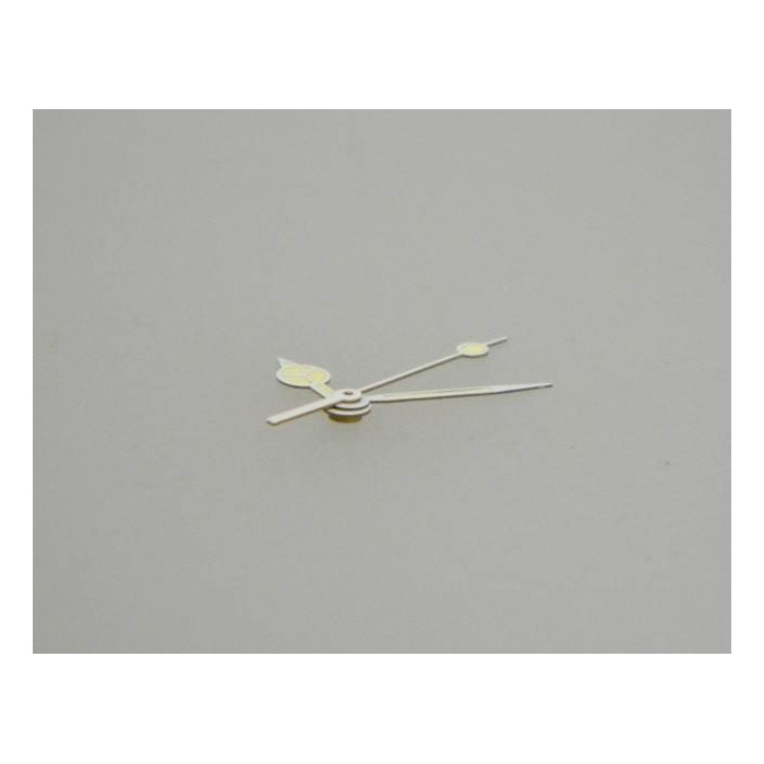 Zodiac professional 200m aiguilles