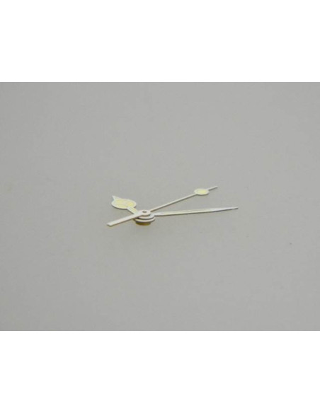 Zodiac professional 200m aiguilles